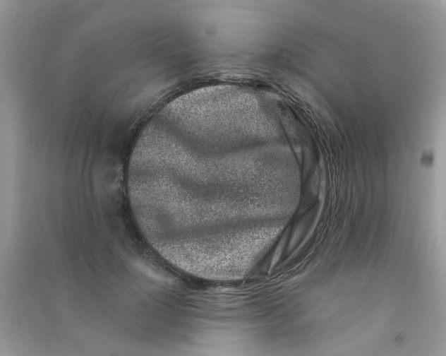 X0000090720748200708171926