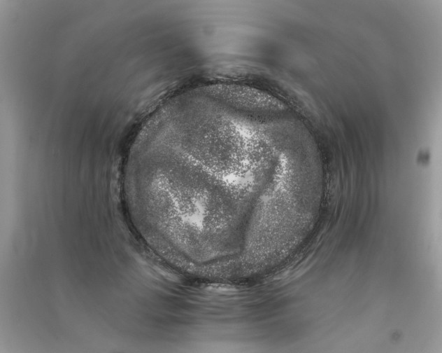 X0000090720749200708171926