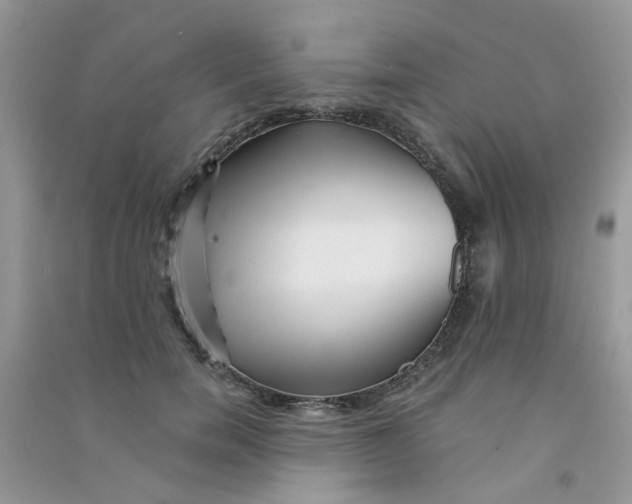 X0000090720750200708171926