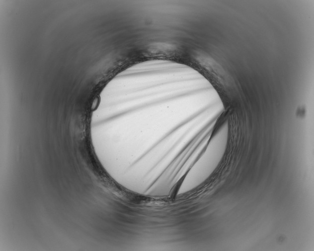 X0000090720751200708171926