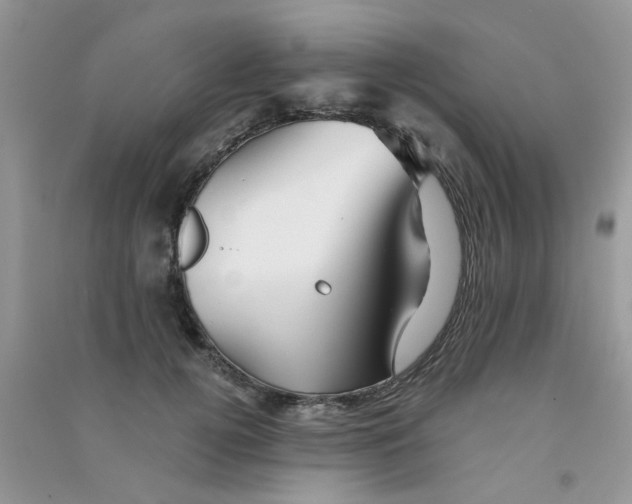 X0000090720752200708171926