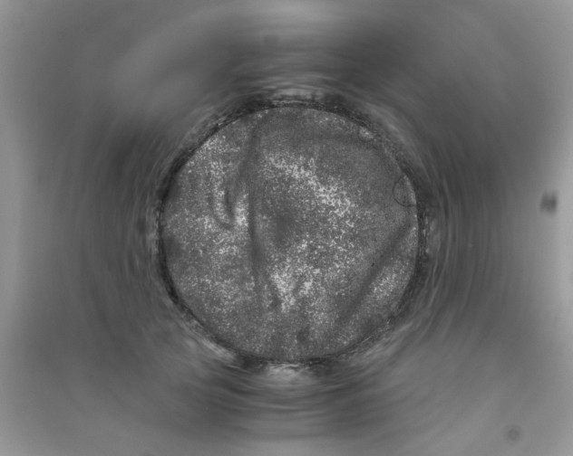 X0000090720753200708171926