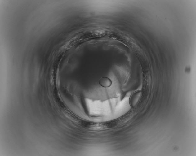 X0000090720754200708171926