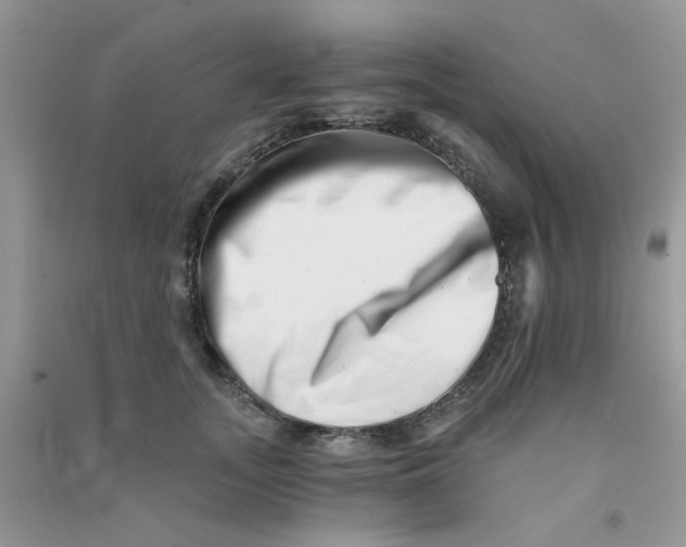 X0000090720755200708171926