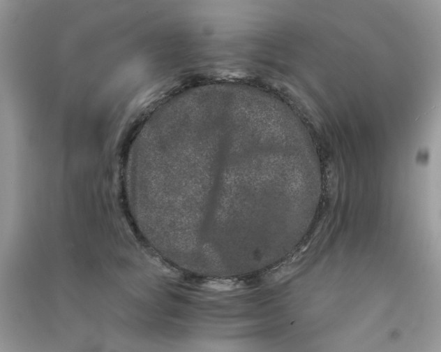 X0000090720757200708171926