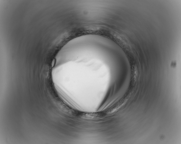 X0000090720758200708171926