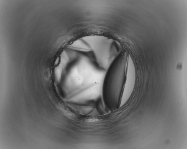 X0000090720759200708171926