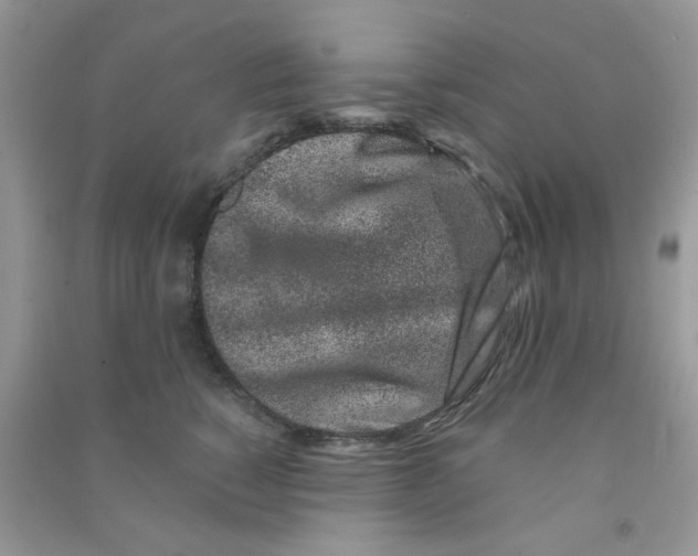 X0000090720760200708171926