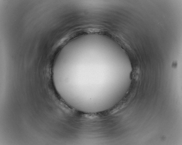 X0000090720763200708171926