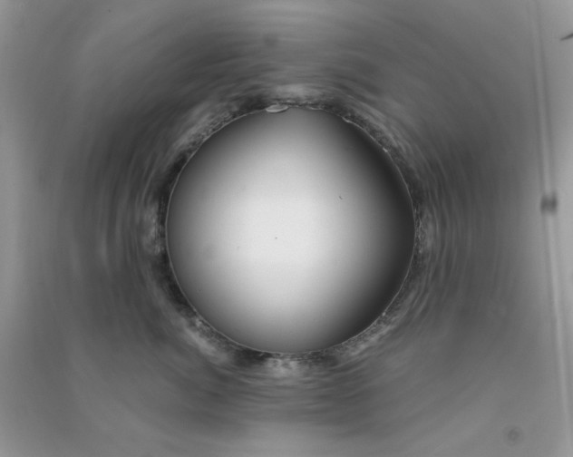 X0000090720764200708171926