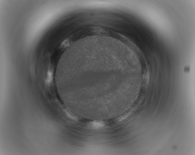 X0000090720765200708171926