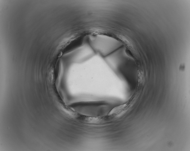 X0000090720766200708171926