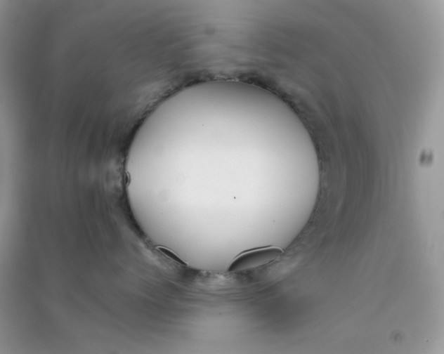 X0000090720768200708171926