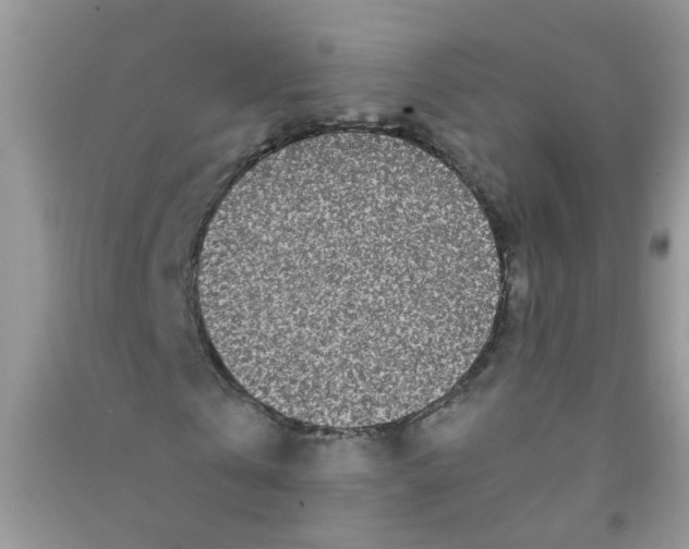 X0000090720769200708171926