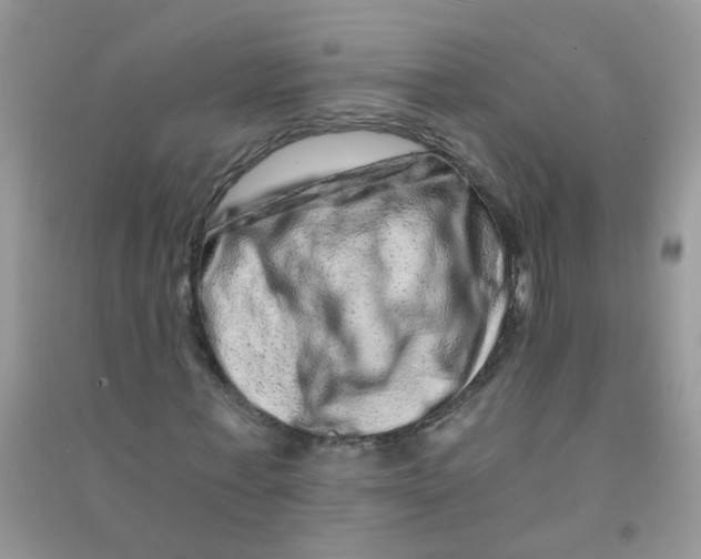 X0000090720771200708171926