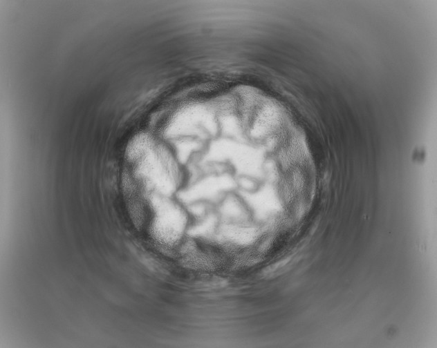 X0000090720772200708171926