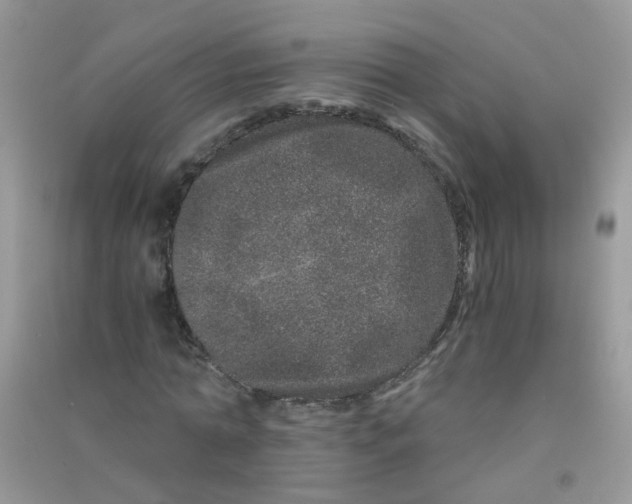 X0000090720774200708171926