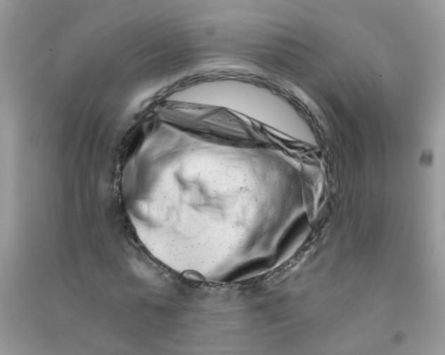 X0000090720775200708171926