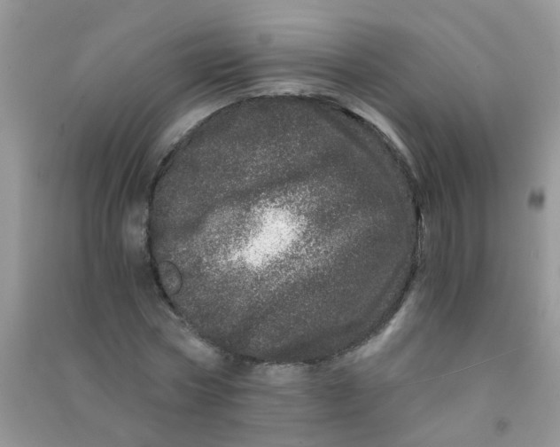 X0000090720778200708171925