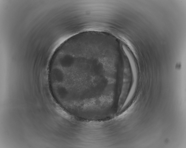 X0000090720779200708171925