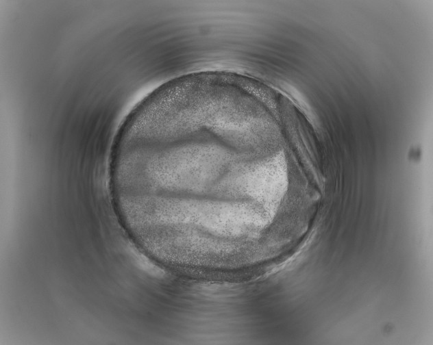 X0000090720780200708171925