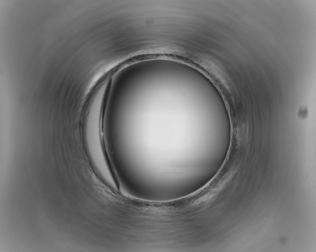 X0000090720781200708171925