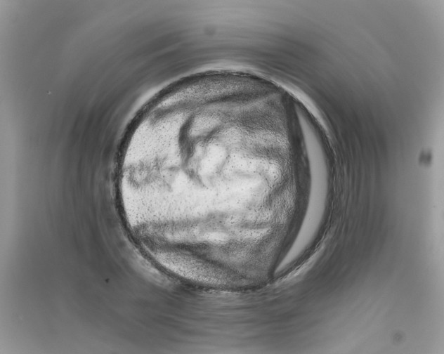 X0000090720783200708171925