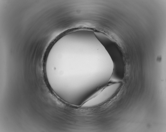 X0000090720784200708171925