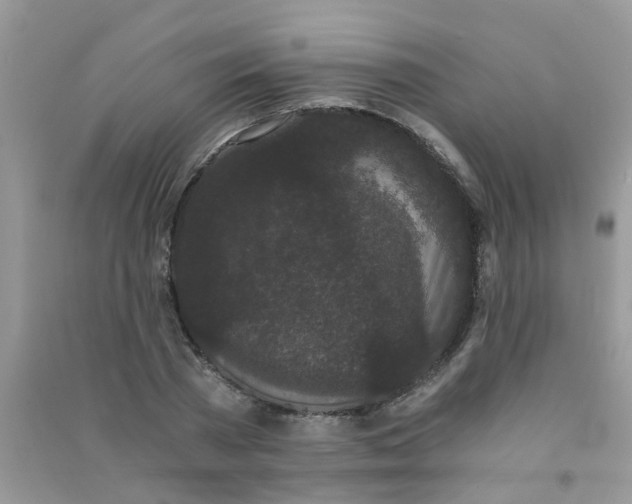 X0000090720785200708171925