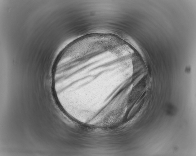 X0000090720787200708171925