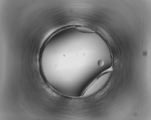 X0000090720788200708171925