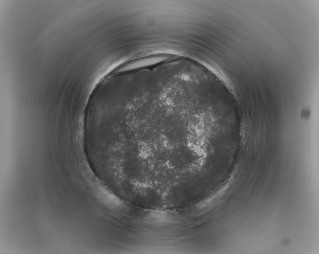 X0000090720790200708171925