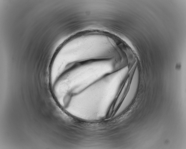 X0000090720791200708171925