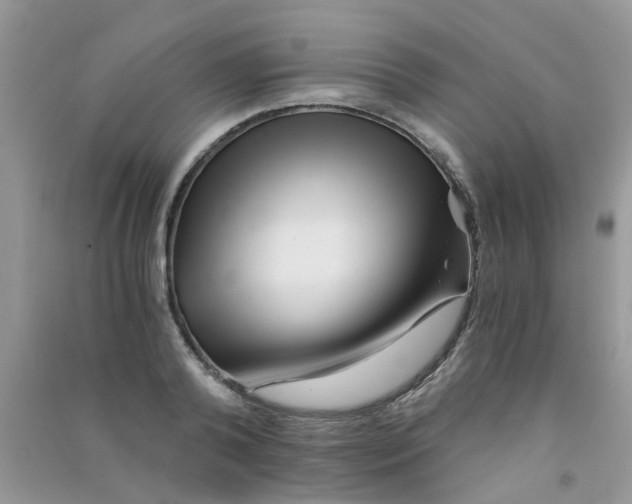 X0000090720792200708171925