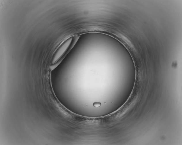 X0000090720793200708171925