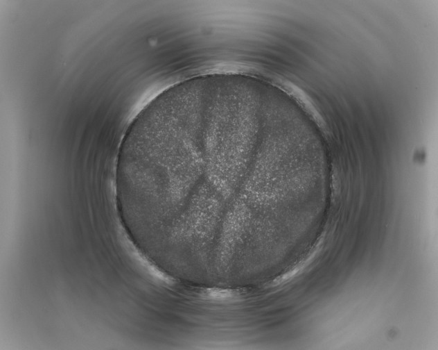 X0000090720794200708171925