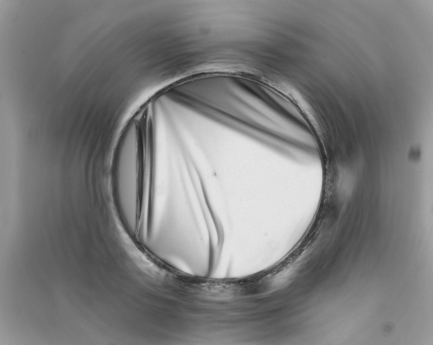 X0000090720795200708171925