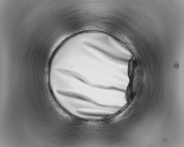 X0000090720796200708171925