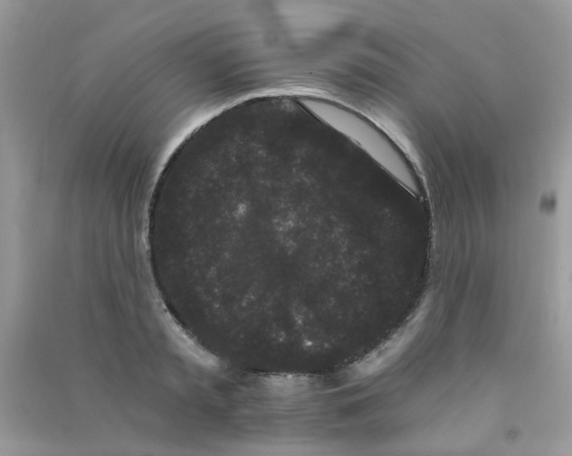 X0000090720797200708171925