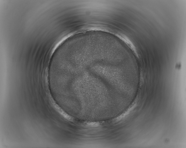 X0000090720798200708171925