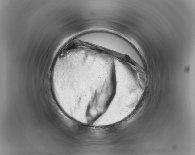 X0000090720799200708171925