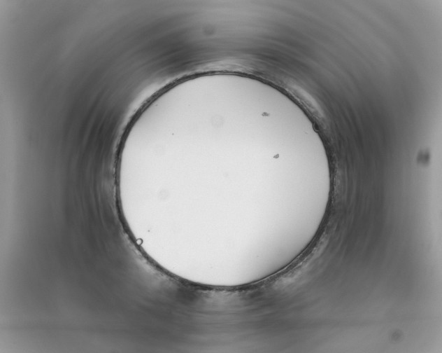 X0000090720800200708171925