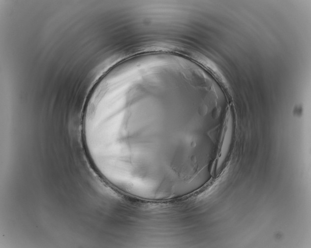 X0000090720802200708171925