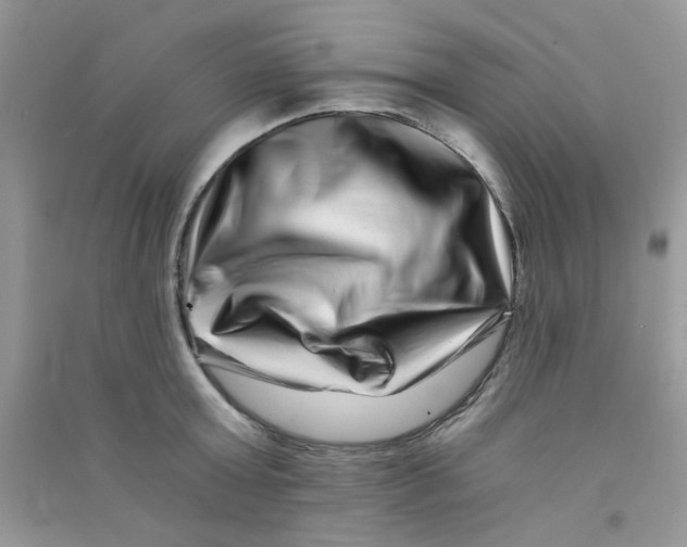 X0000090720803200708171925