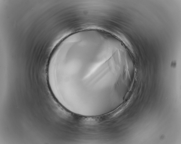 X0000090720806200708171925