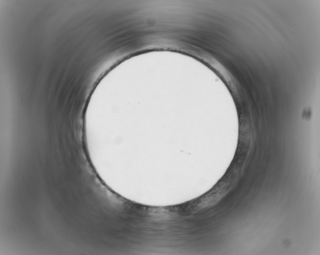 X0000090720807200708171925