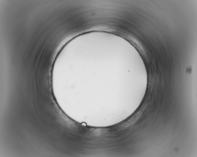 X0000090720808200708171925