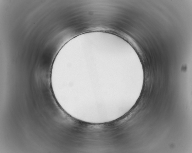 X0000090720810200708171925