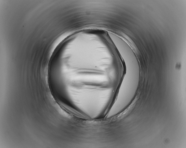 X0000090720812200708171925