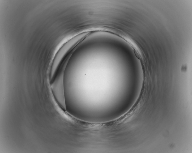 X0000090720813200708171925